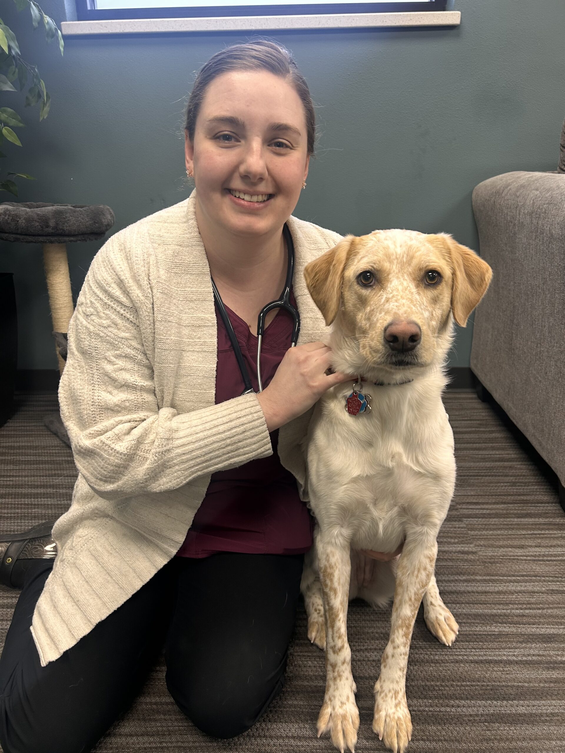 Dr. Kirstn Heino, Veterinarian at Brentwood Animal Hospital