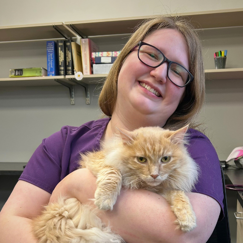 Dr. Kirstn Heino, Veterinarian at Brentwood Animal Hospital
