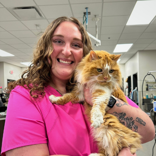 Abby Hansen, Veterinary Assistant at Brentwood Animal Hospital
