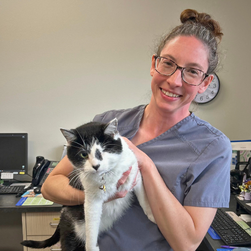 Brentwood Animal Hospital staff coming soon