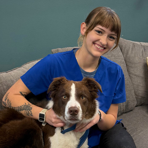 Sydney Januchowski, Veterinary Assistant at Brentwood Animal Hospital